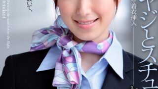 中年オヤジとスチュワーデス 西尾かおり