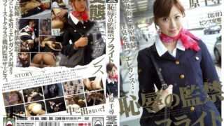 キャビンアテンダント 恥辱の監禁フライト 原千尋